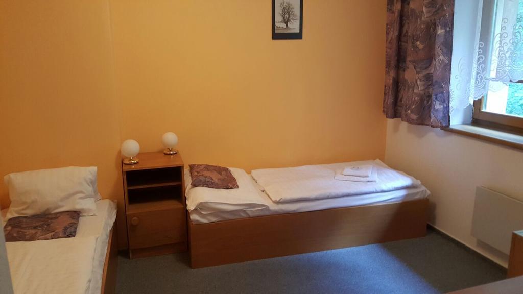 Hotel Vydra Srní Exteriér fotografie